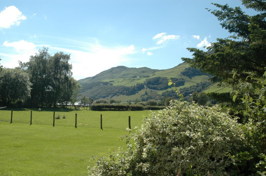 Dolffanog Fawr Hotel Tal-y-llyn Luaran gambar