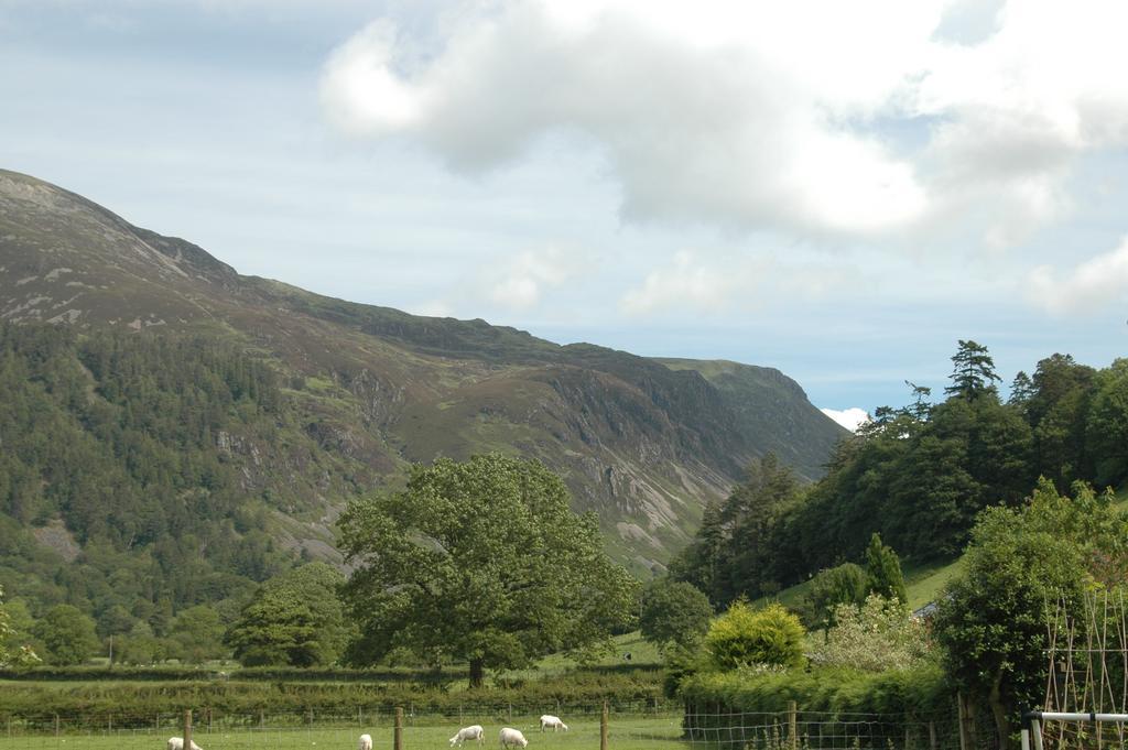 Dolffanog Fawr Hotel Tal-y-llyn Luaran gambar